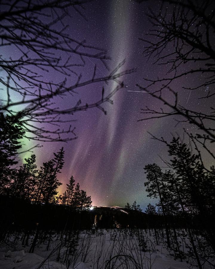 Alppitaehti, Huoneisto Hilla Levi